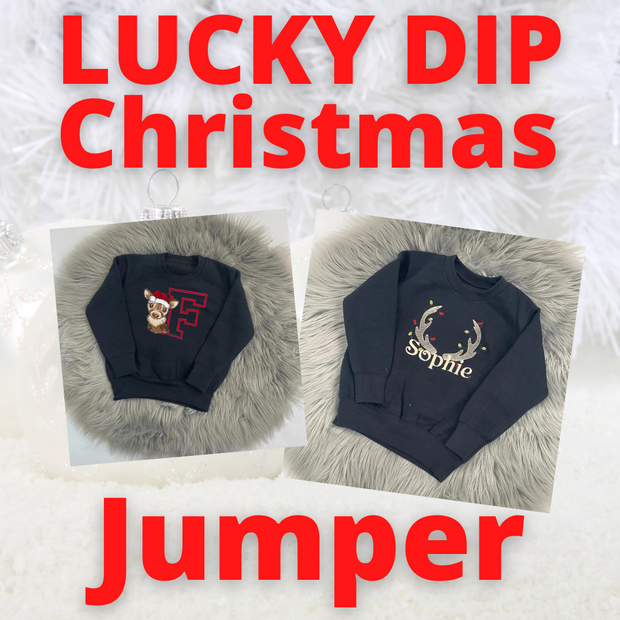 LUCKY DIP CHRISTMAS Animal Personalised Embroidered JUMPER