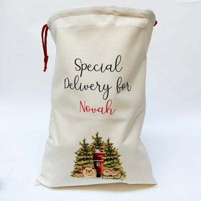 'Special Delivery For' Printed Personalised Santa Sack - Hedgehog