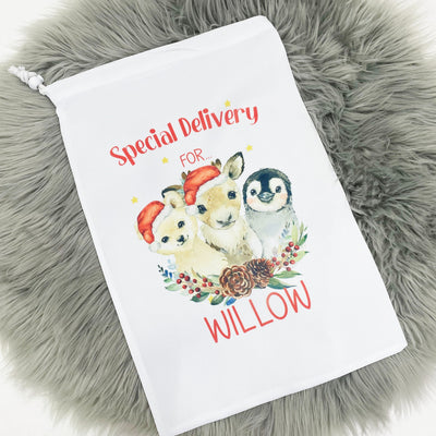 Special Delivery for... Christmas Sack (Polar Bear, Reindeer & Penguin)