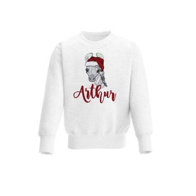 Christmas Santa Zebra Personalised Embroidered Jumper (Various Colours)